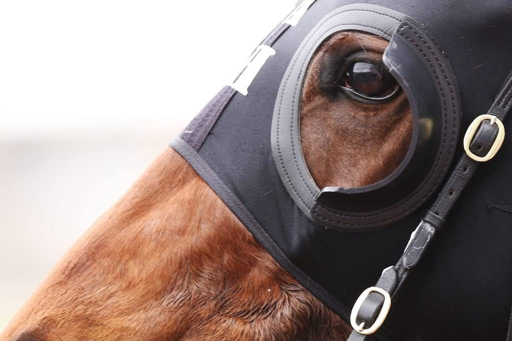 Racing Blinkers & Hood Set (Leather Premium)