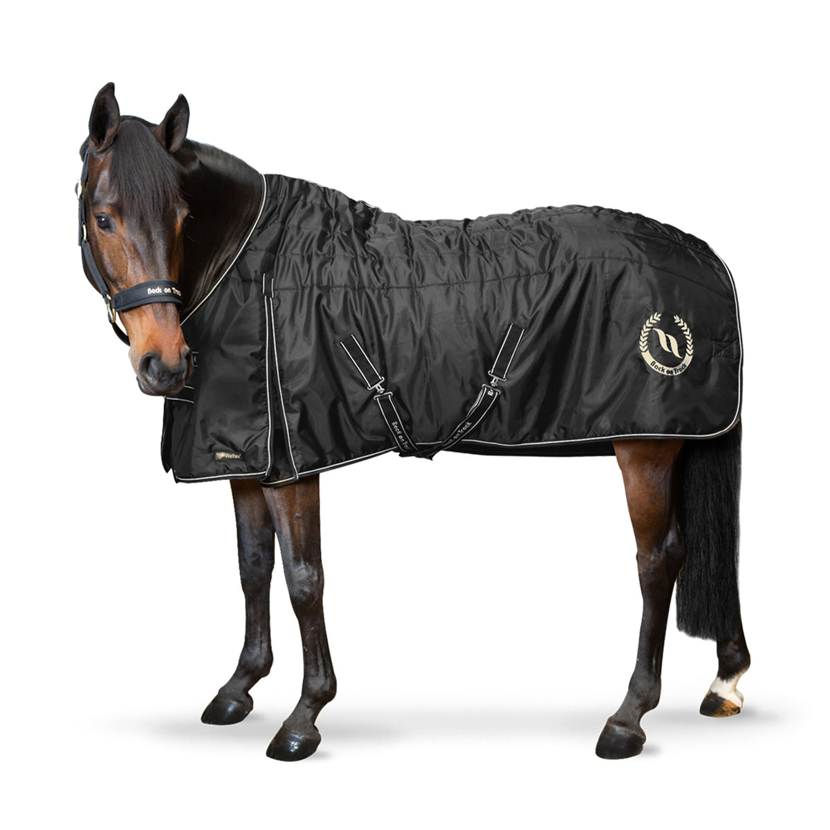 Back on Track Therapeutic Horse Blanket