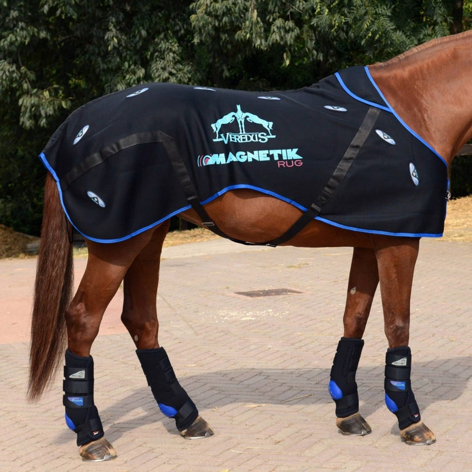 Equine Magnetic Therapy Rug