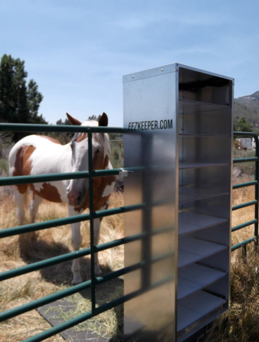Automatic Horse Feeder