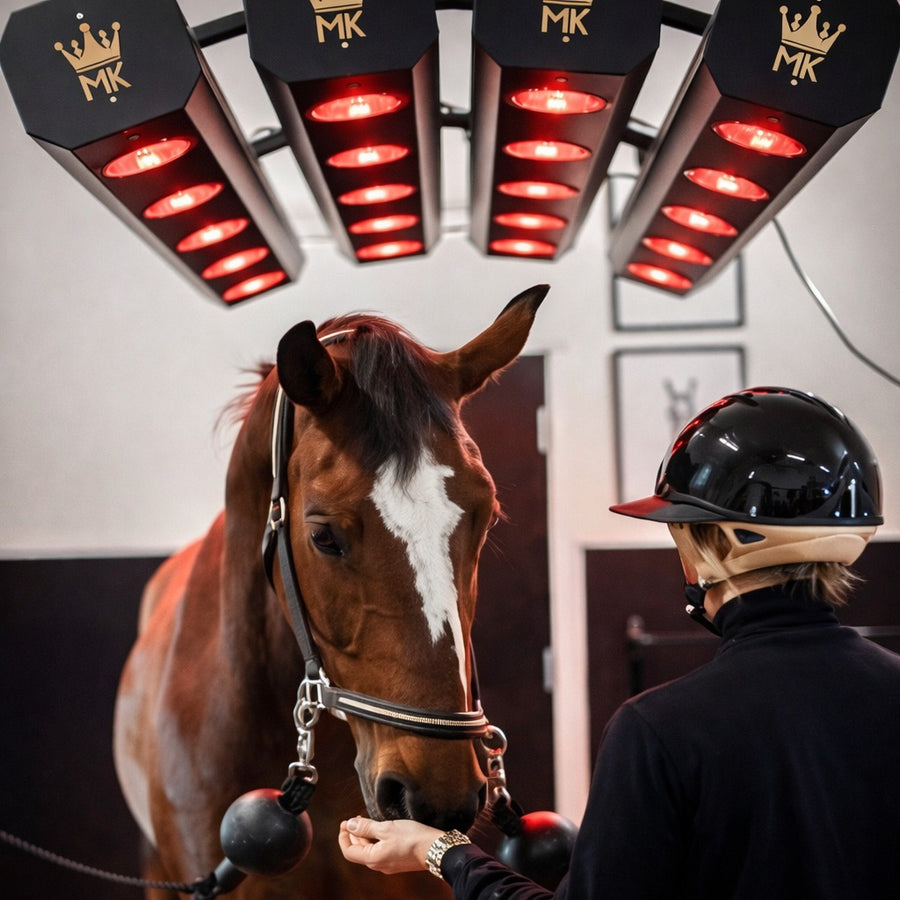 Horse Solarium (Infrared)