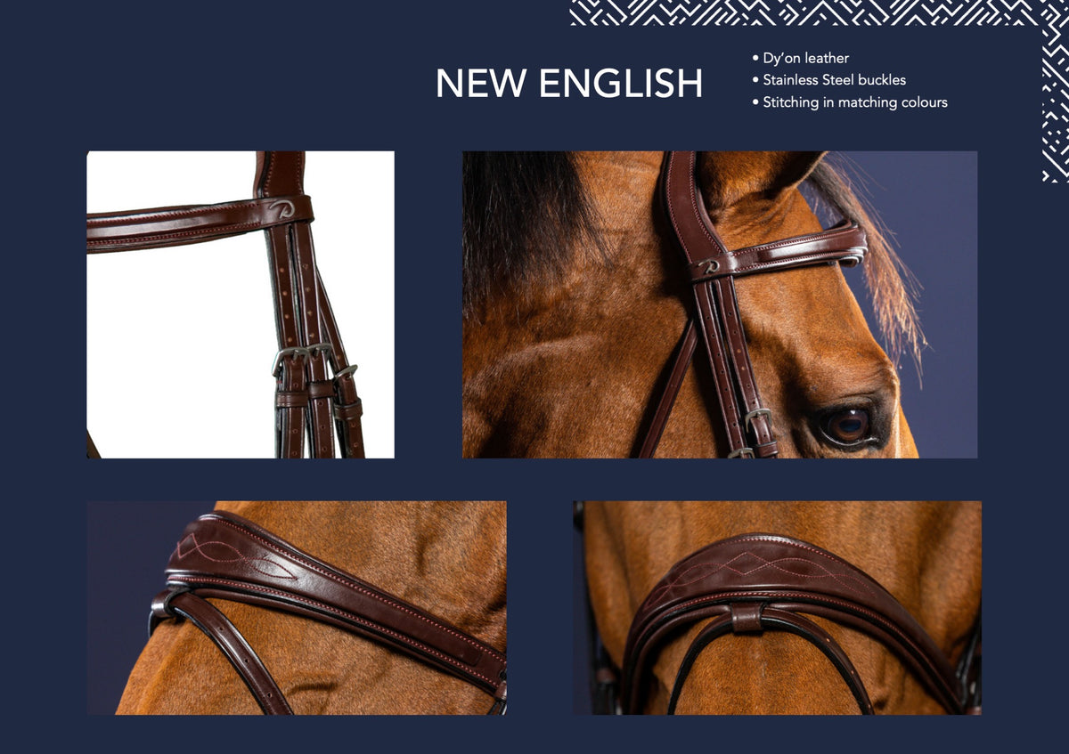 Dyon New English Bridle