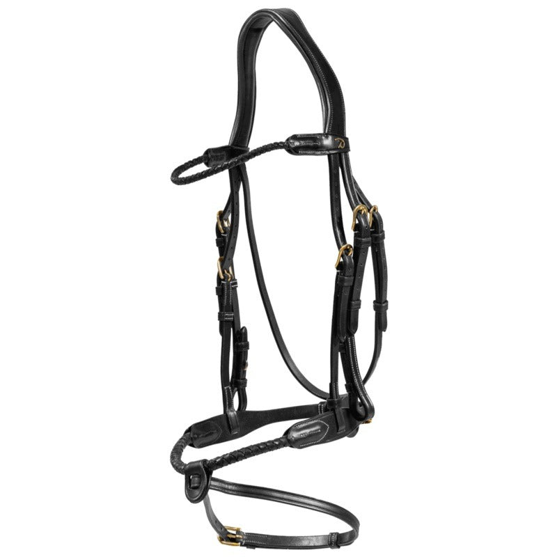 Dyon D1 Collection Dressage Bridle