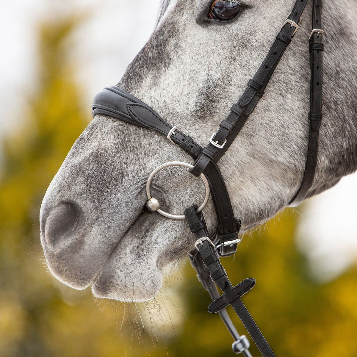 Kieffer Ultimate Bridle