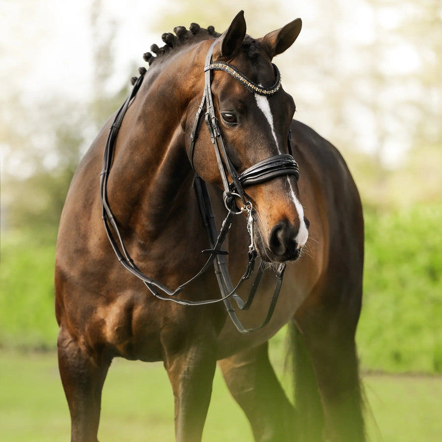 Premium Anatomic Leather Dressage Bridle (with Reins)