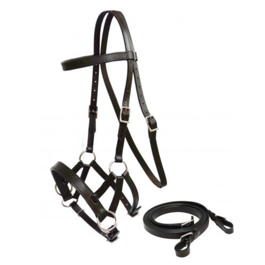 Bitless Bridle Set (Leather)