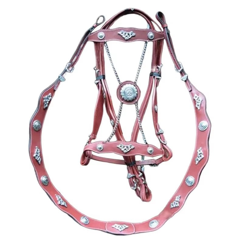 Leather Halter + Lead Rope Gift Set