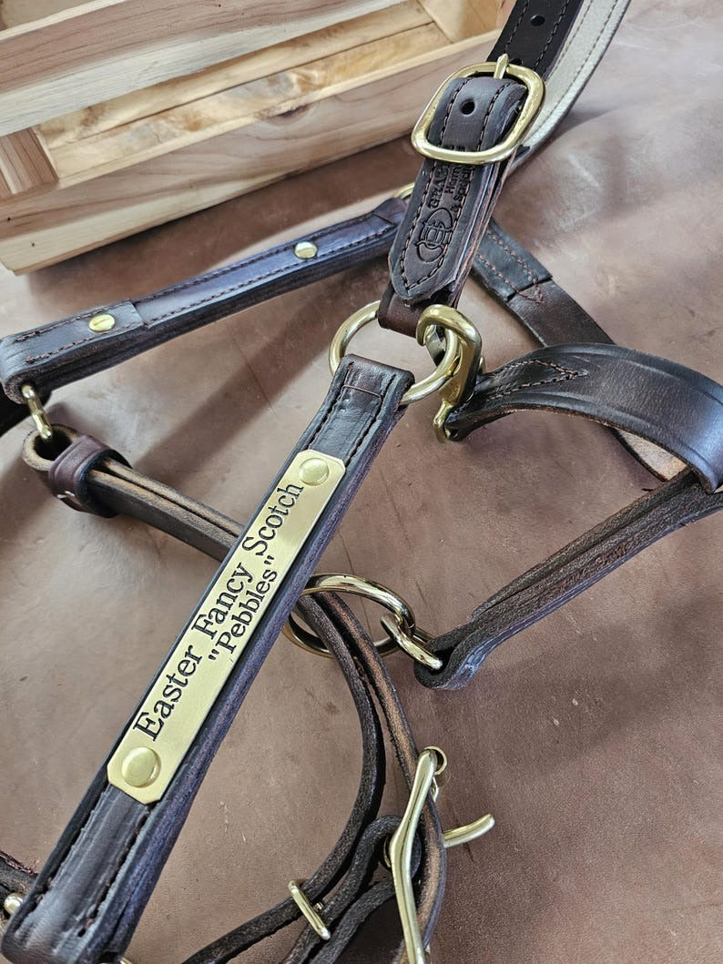 Engraved Name Plate Leather Halter
