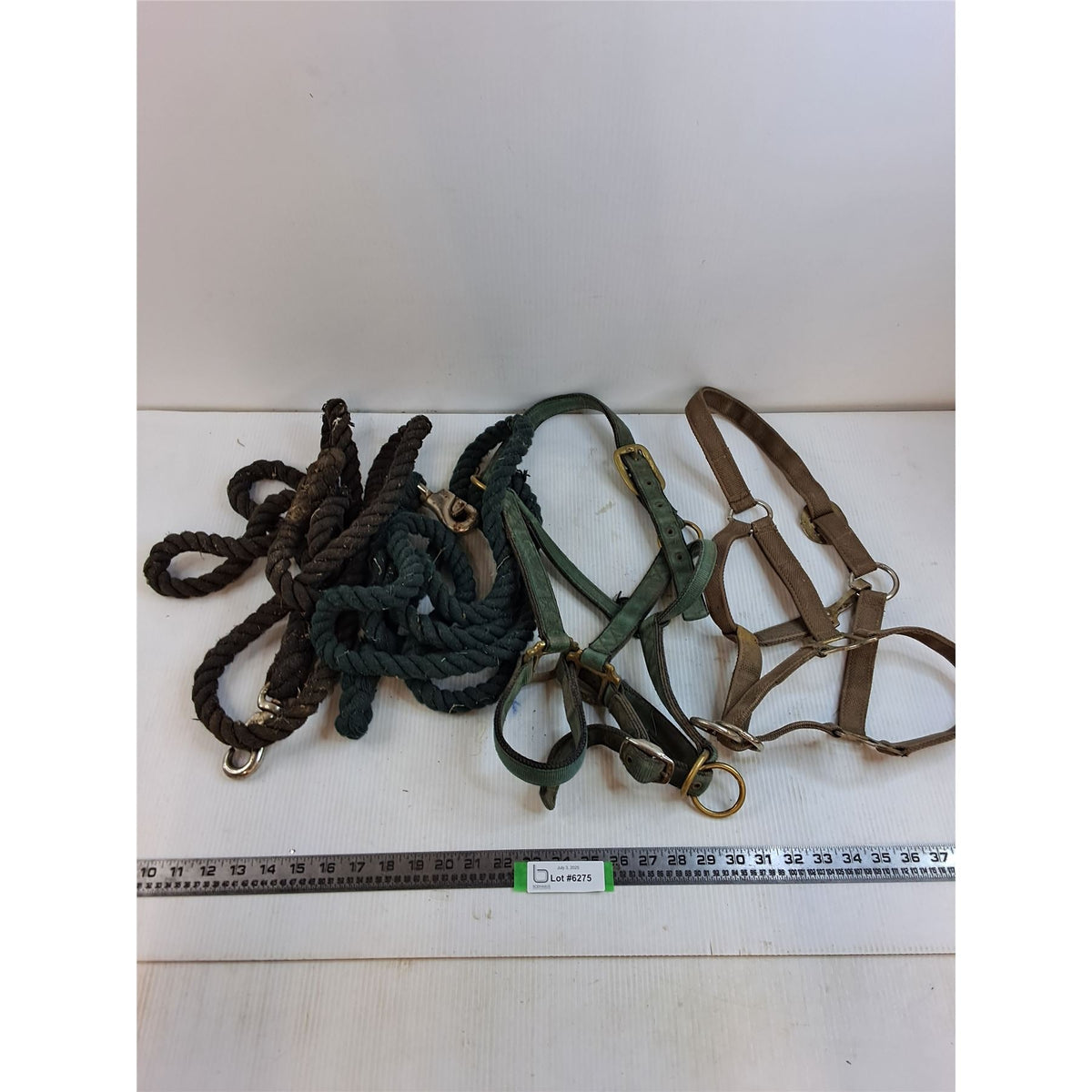 Stable Set: 2 Halters + 2 Lead Ropes