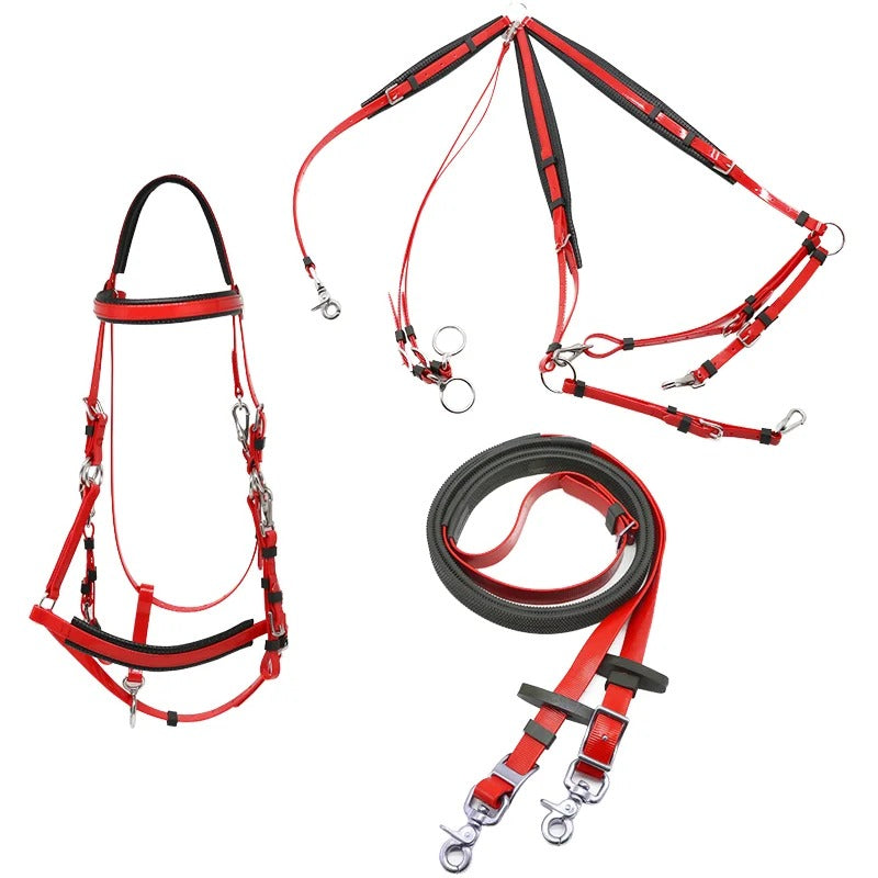 Show Jumping Bridle + Martingale + Reins Set