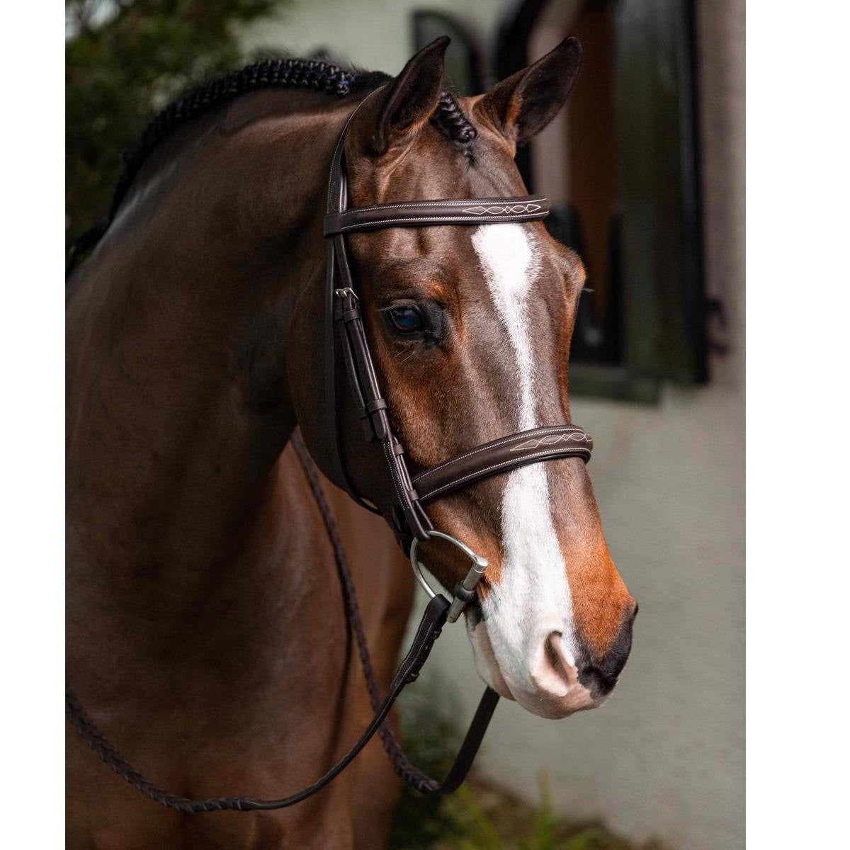 Hunter Bridle & Reins Set