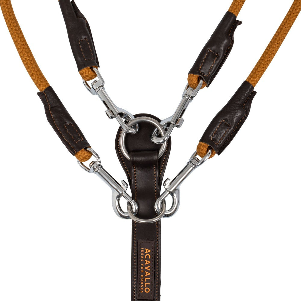 Training Reins Set (Side + Draw Reins)