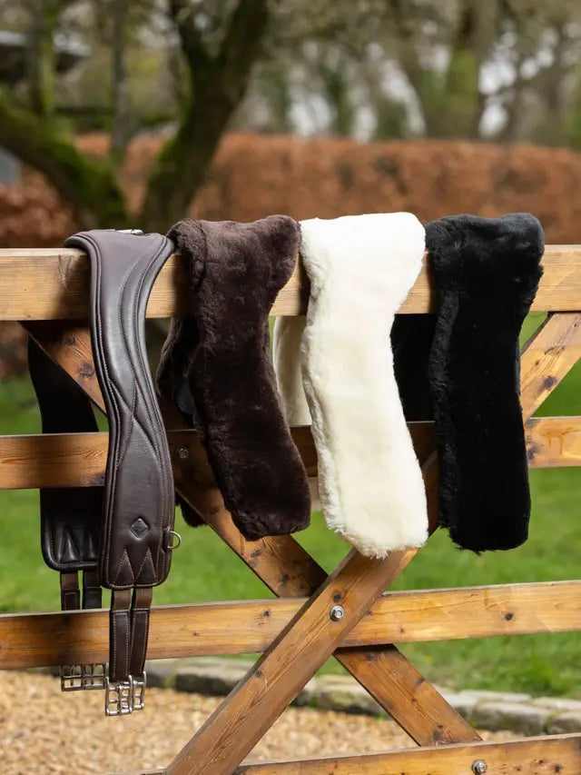 Leather Girth Set + Girth Cover