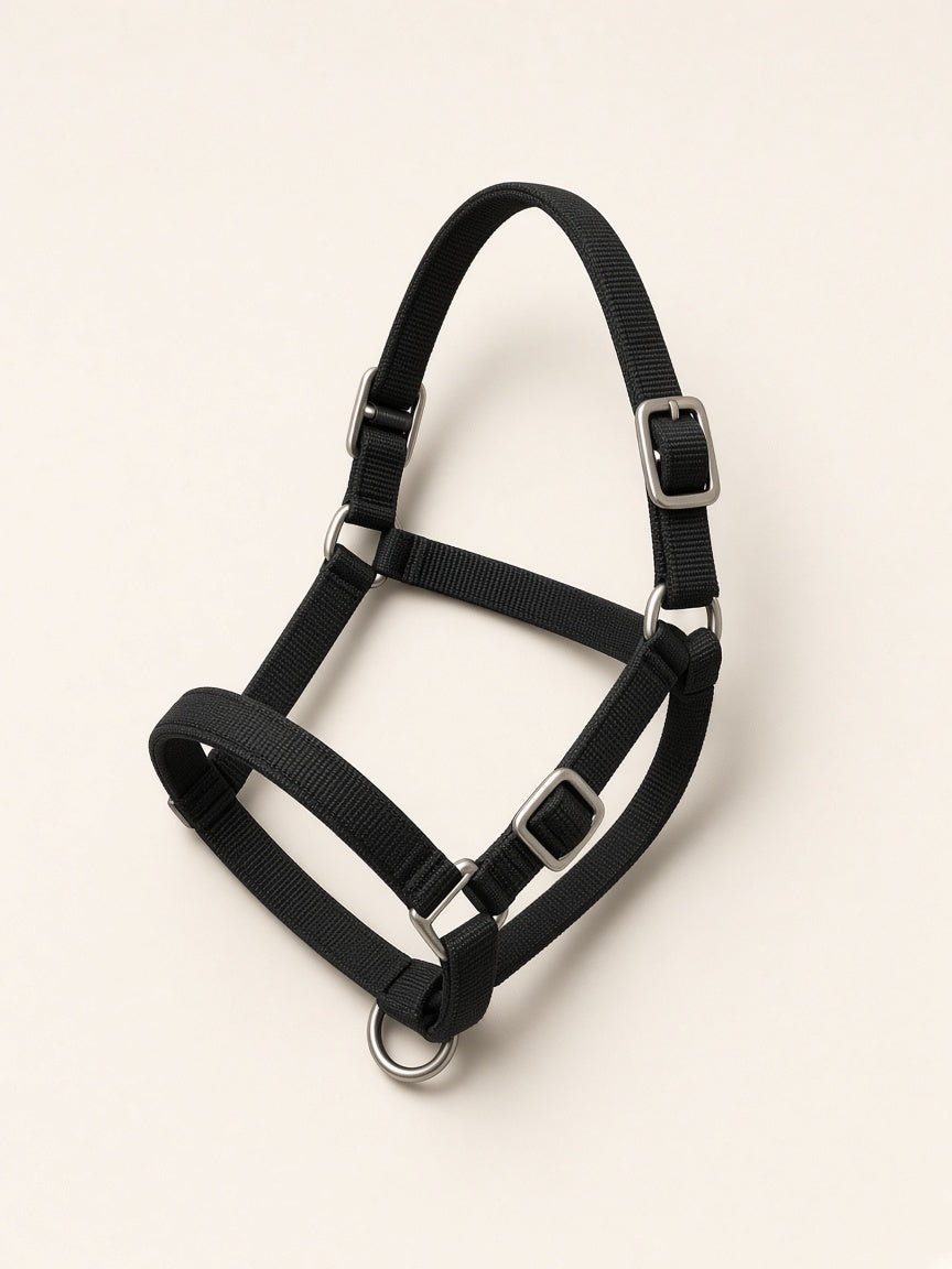 Capezza per cavallo Galopix RaceSafe - Nero